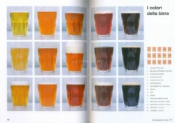 Birra Fai da Te