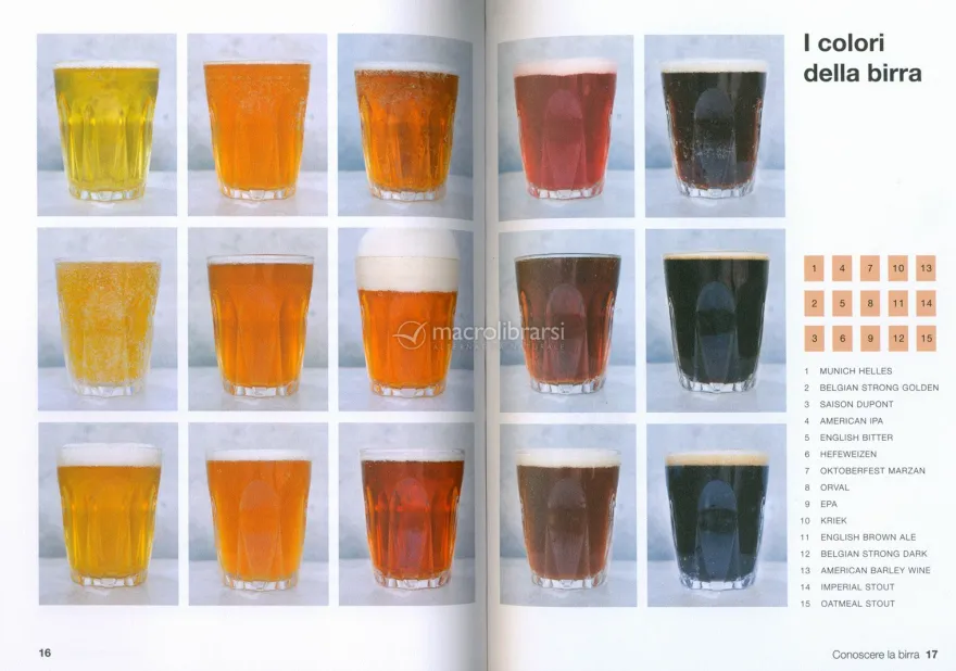 Birra Fai da Te