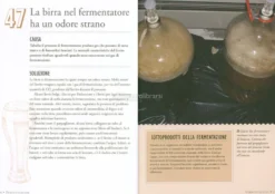 Birre Fatte in Casa