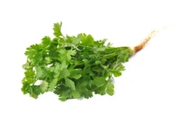 B90-1k - Coriandolo (Coriandrum sativum) - 1 kg