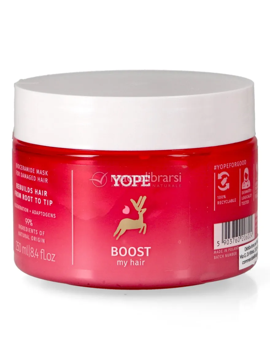 Boost - Maschera Ristrutturante per Capelli Danneggiati