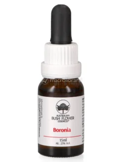 Boronia - Essenza Floreale Australiana Singola