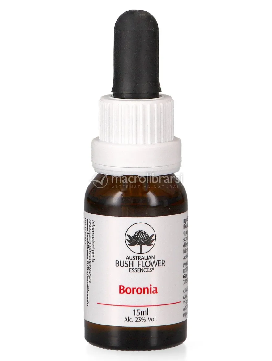 Boronia - Essenza Floreale Australiana Singola