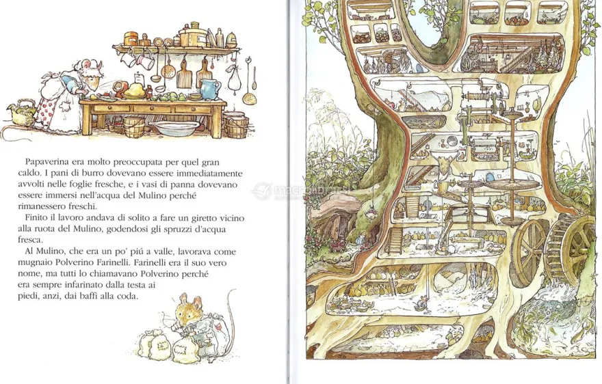 Boscodirovo - Storia d'Estate