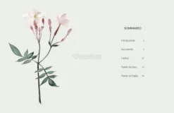 Botanica Urbana