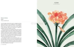 Botanica Urbana