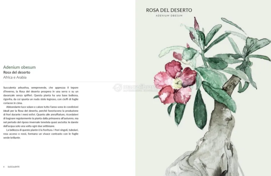 Botanica Urbana