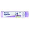 Bovista Gigantea Boiron 30CH Granuli