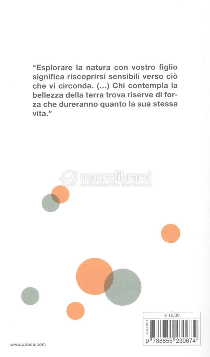 Brevi Lezioni di Meraviglia