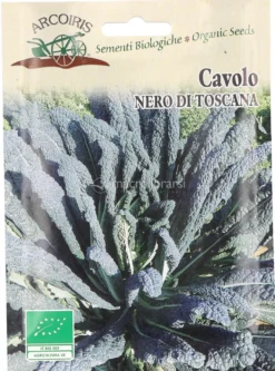 Bu090 - Cavolo Nero di Toscana - 3 g