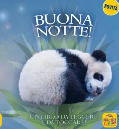 Buona Notte!