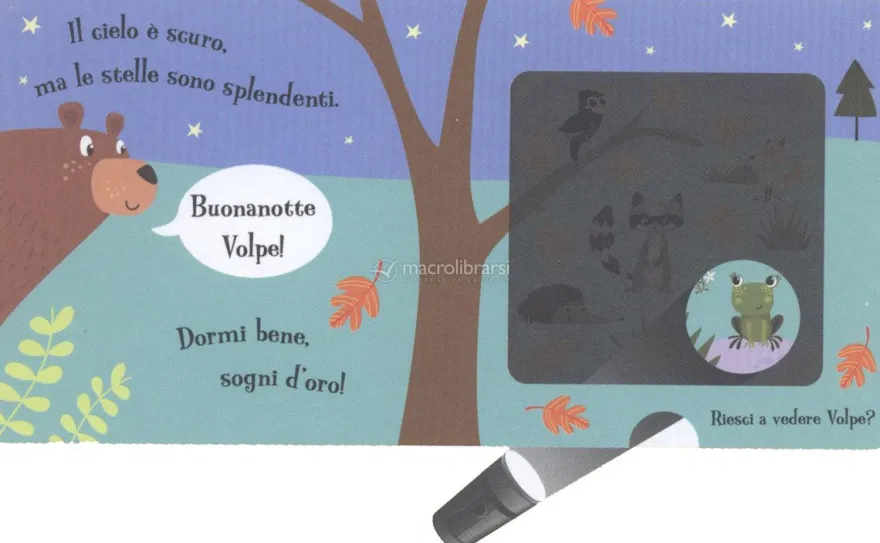Buonanotte Orso