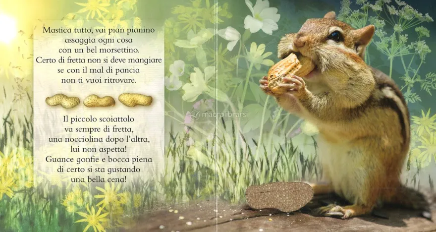 Buon Appetito!