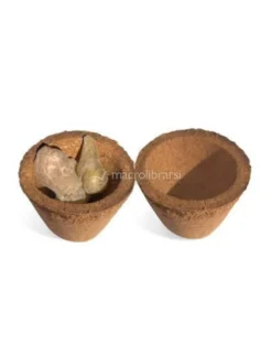 Burned Cups - Cialde a Coppetta