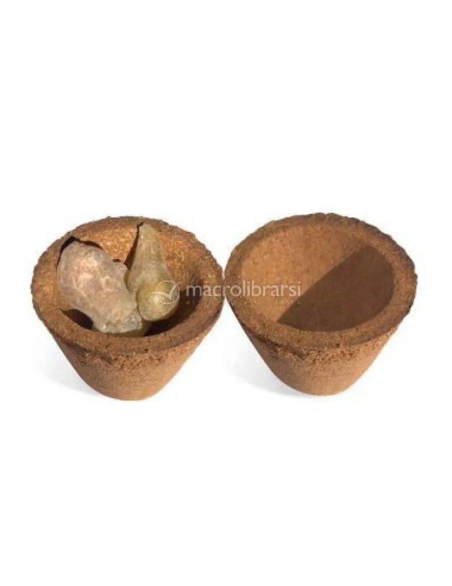 Burned Cups - Cialde a Coppetta