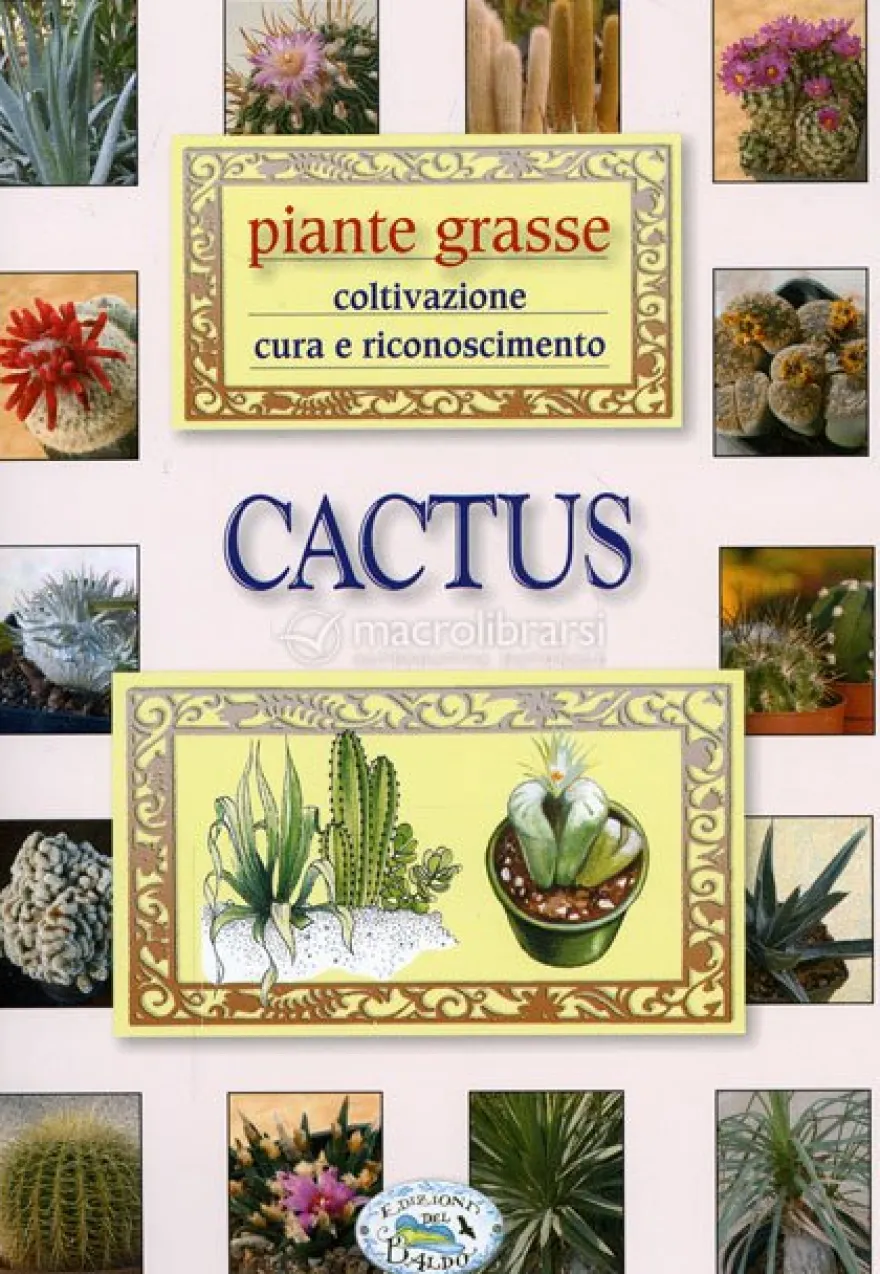 Cactus