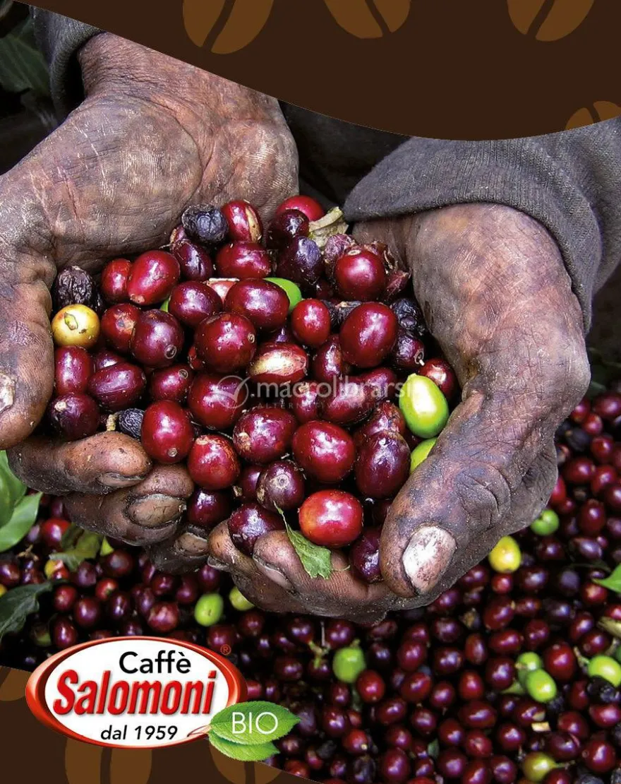 Caffè Arabica e Cacao Bio