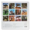 Calendario da Parete Alberi Secolari 2027