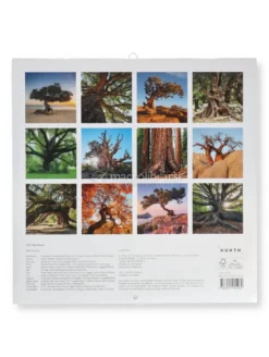 Calendario da Parete Alberi Secolari 2027