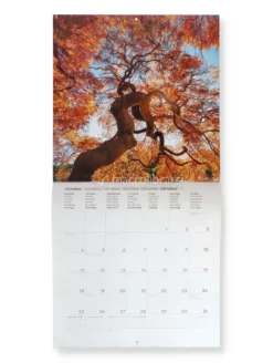 Calendario da Parete Alberi Secolari 2027
