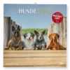 Calendario da Parete Cani 2027