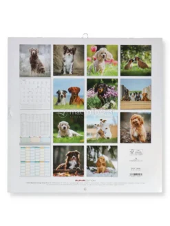 Calendario da Parete Cani 2027