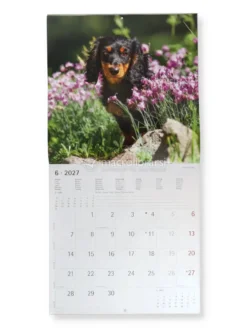 Calendario da Parete Cani 2027