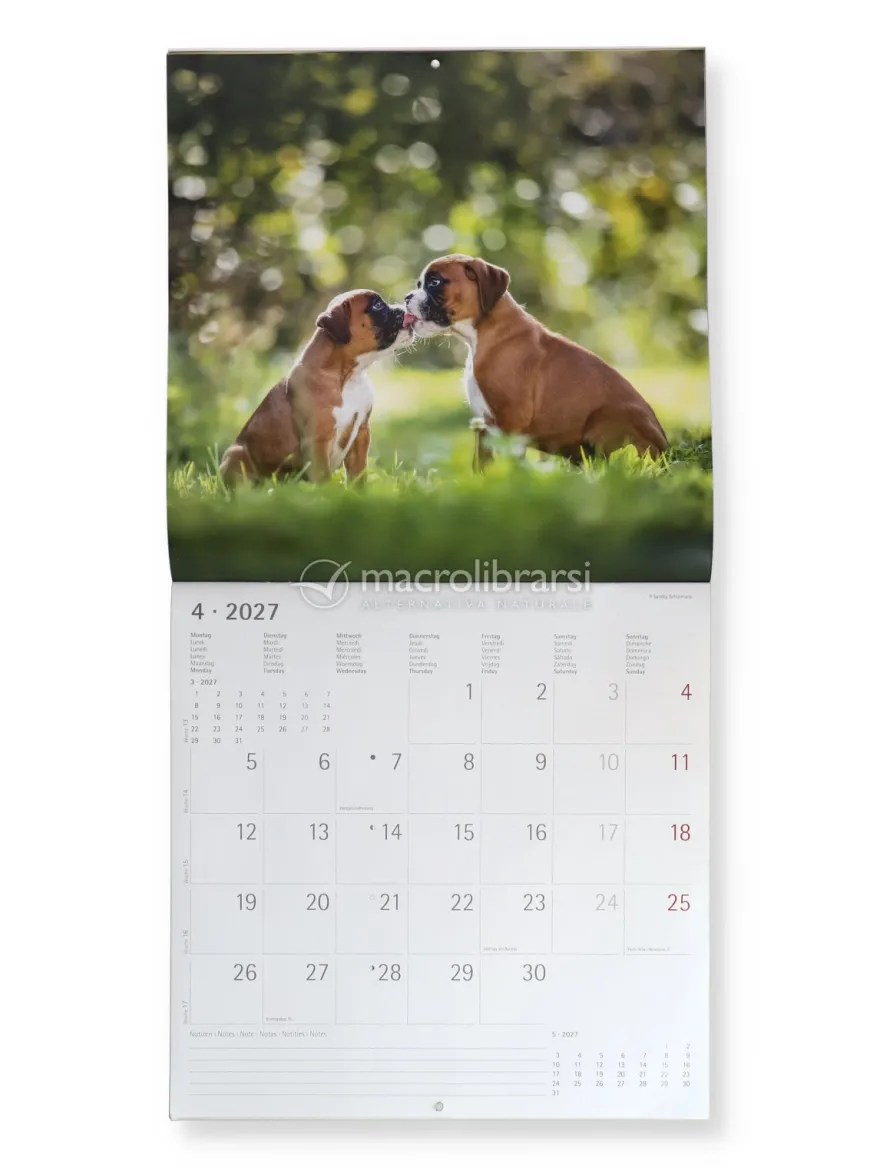 Calendario da Parete Cani 2027