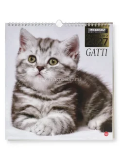 Calendario da Parete Gatti 2027
