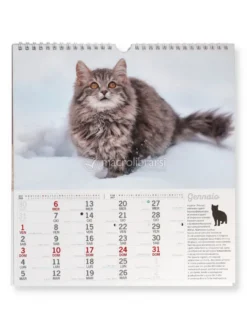 Calendario da Parete Gatti 2027