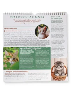 Calendario da Parete Gatti 2027