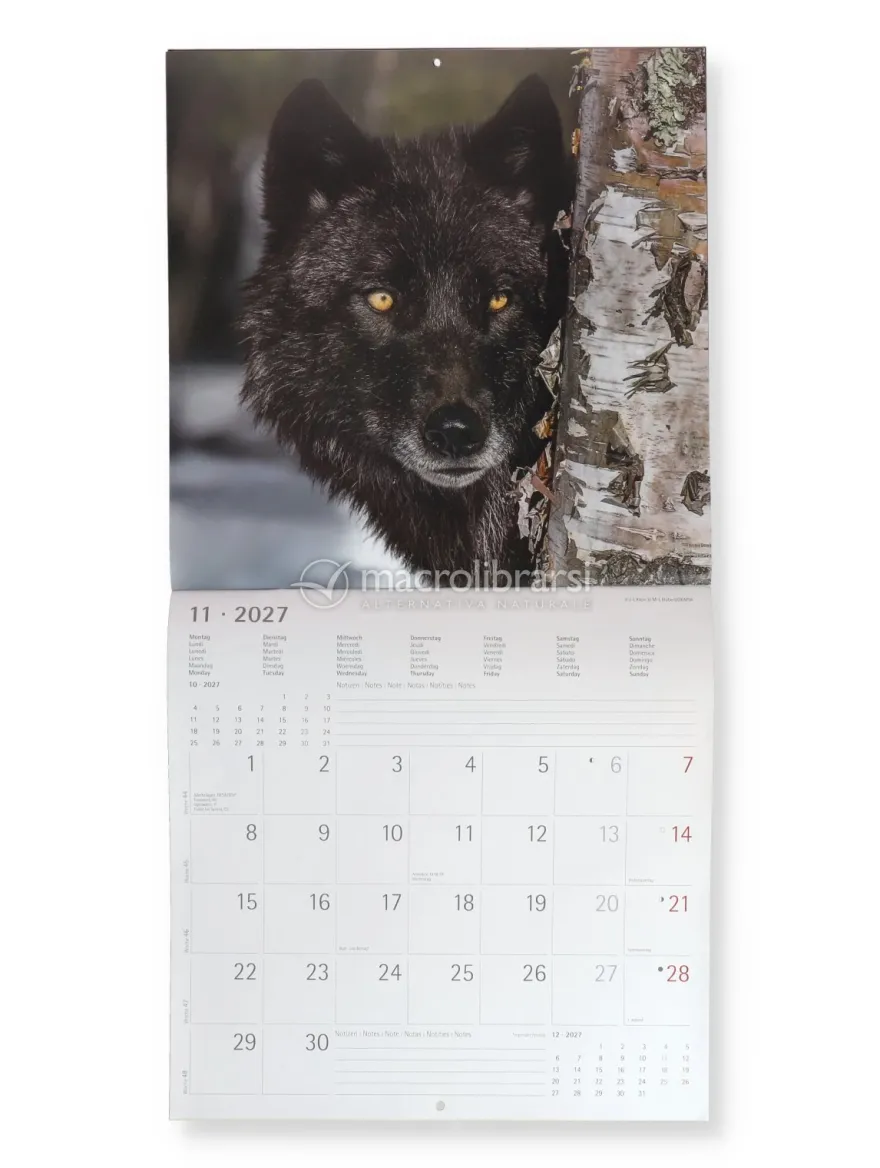 Calendario da Parete Lupi 2027