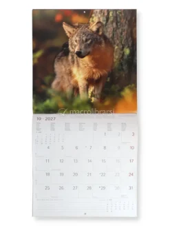 Calendario da Parete Lupi 2027