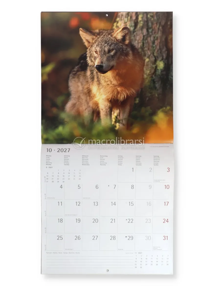 Calendario da Parete Lupi 2027