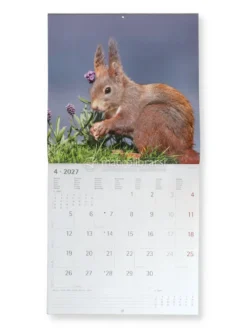 Calendario da Parete Scoiattoli 2027