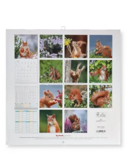 Calendario da Parete Scoiattoli 2027