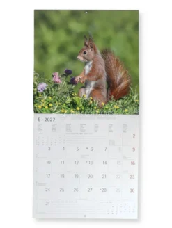 Calendario da Parete Scoiattoli 2027