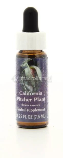 California Pitcher Plant - Fiori californiani