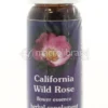 California Wild Rose - Fiori californiani