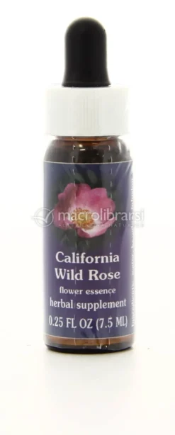 California Wild Rose - Fiori californiani