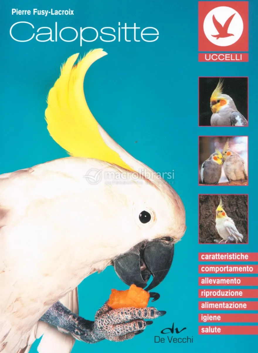 Calopsitte