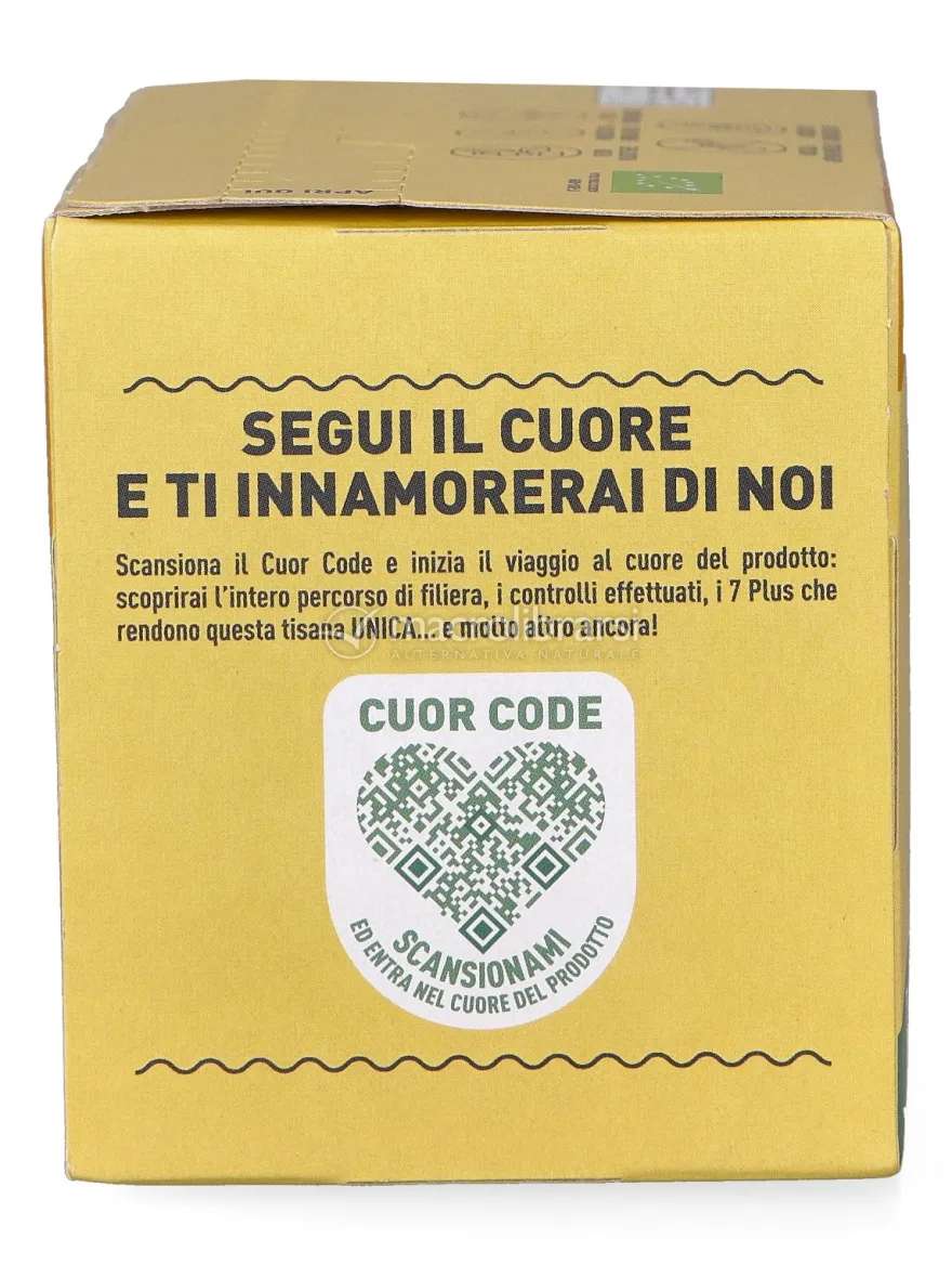 Camomilla in Filtri Bio