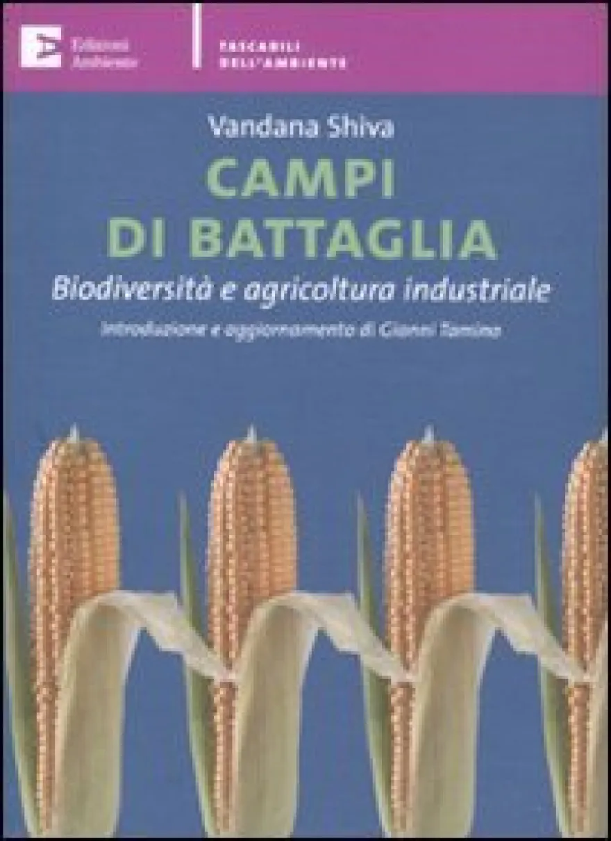 Campi di Battaglia