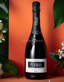 Canah - Prosecco Superiore Valdobbiadene Bio