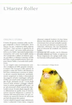 Canarini del Mondo