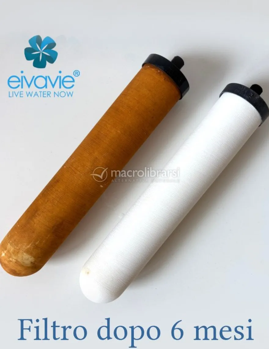 Candela Filtrante Eivavie® Ultimate Ceramicae 1/4” bsp per Depuratore Sopralavello Doulton®