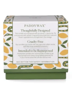 Candela in Ceramica "A Dopo" Snake - Wild Lemongrass