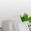 Canfora in Compresse - Srinivas