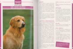 342 Cani di Razza