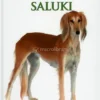 Canis Lupus Familiaris: Saluki